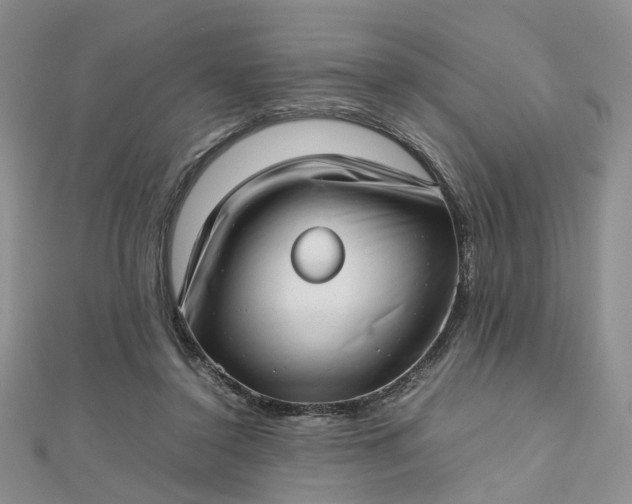 X0000112810356200909041459