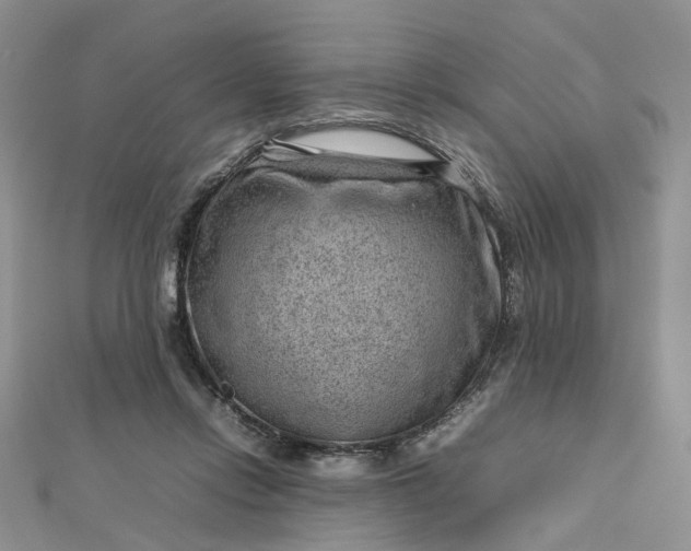 X0000112810358200909041459