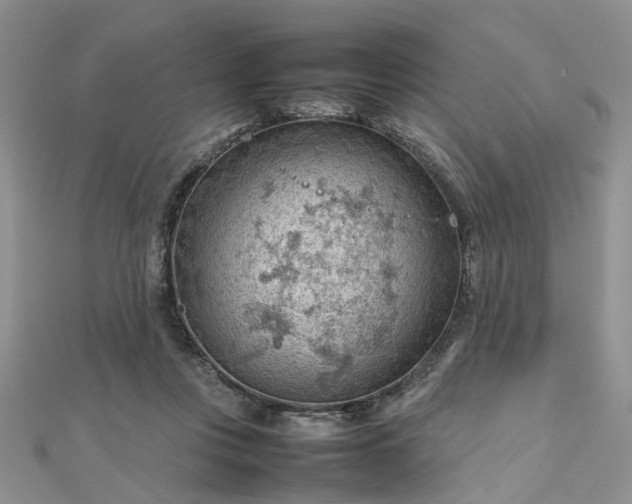 X0000112810359200909041459