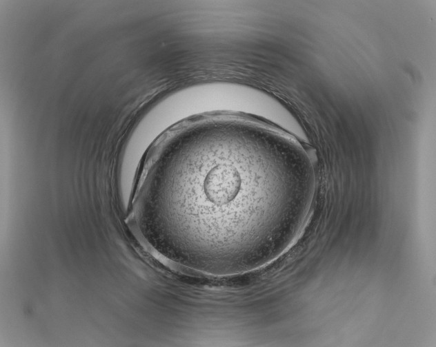 X0000112810360200909041459