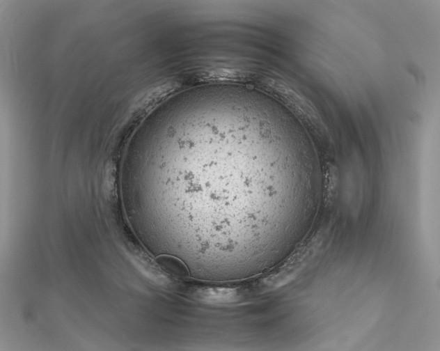 X0000112810361200909041459