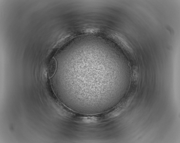 X0000112810363200909041459