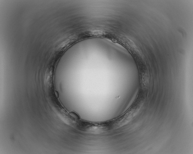 X0000112810364200909041459