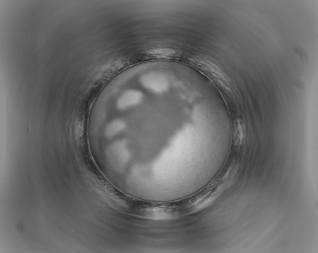 X0000112810365200909041459