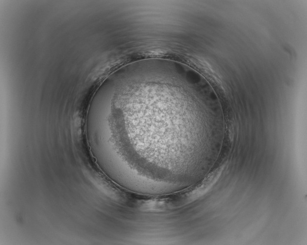 X0000112810366200909041459