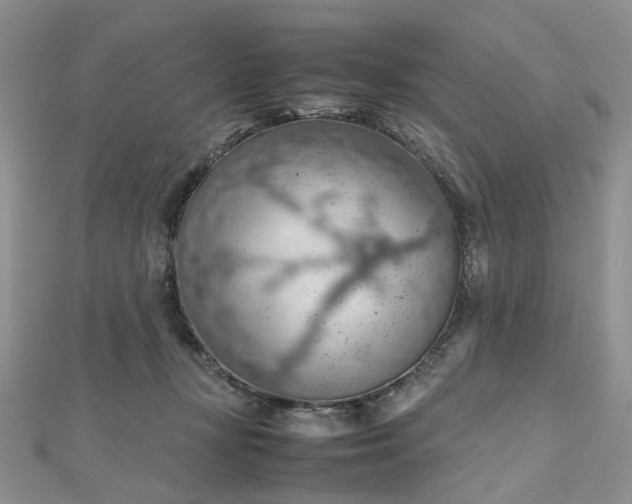 X0000112810367200909041459