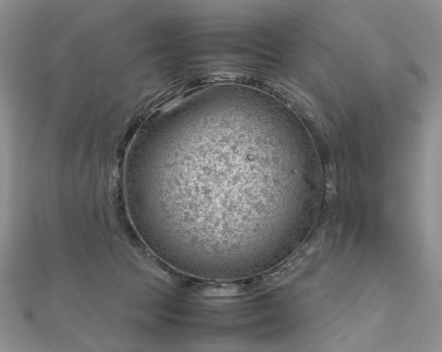 X0000112810369200909041459