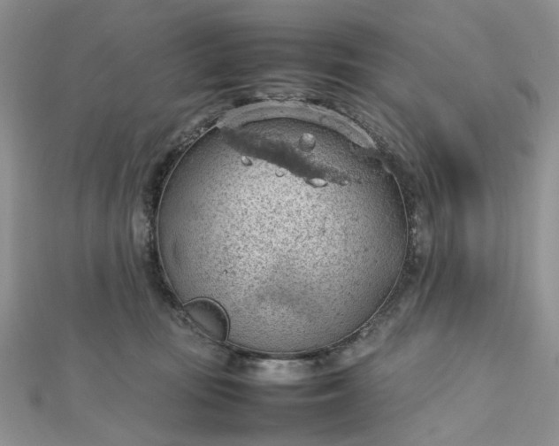 X0000112810371200909041459