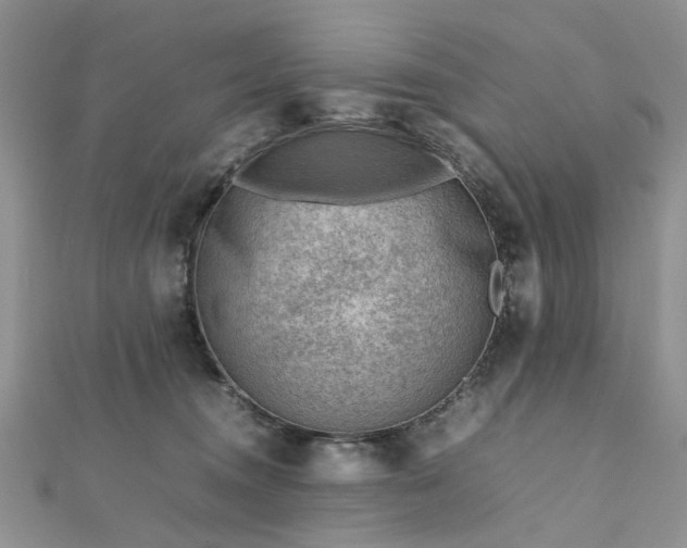 X0000112810372200909041459