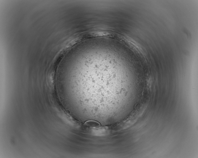 X0000112810373200909041459