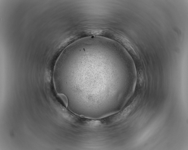 X0000112810374200909041459