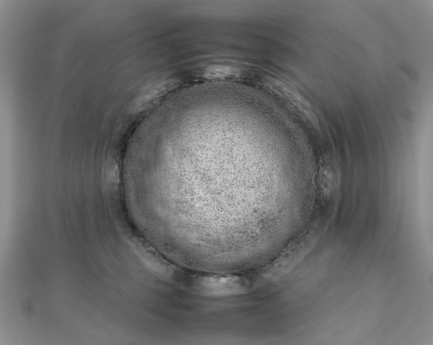 X0000112810375200909041459