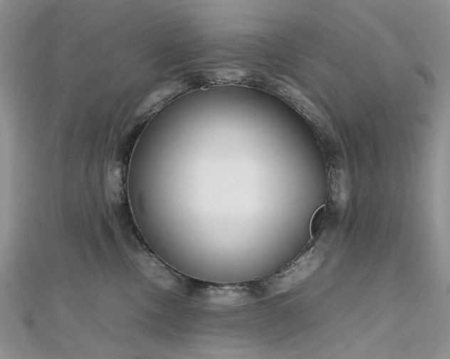 X0000112810378200909041459