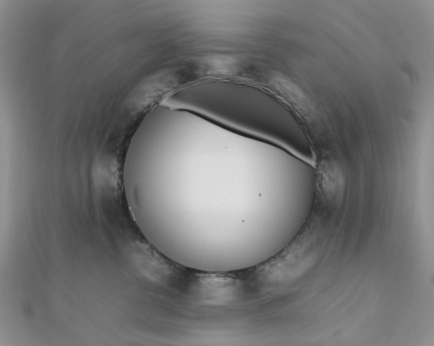 X0000112810380200909041459