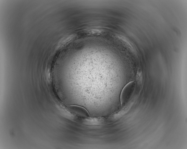 X0000112810381200909041459