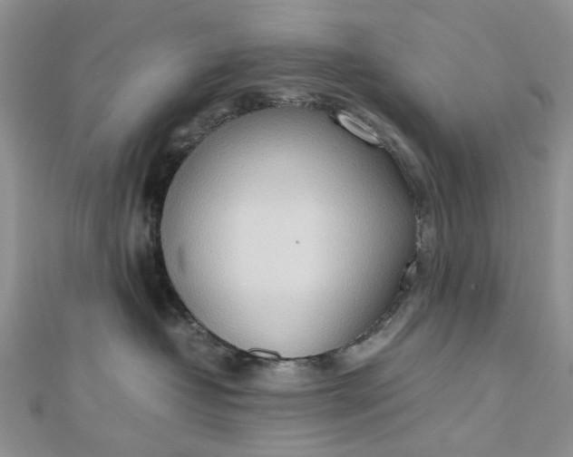 X0000112810382200909041459