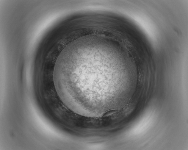 X0000112810383200909041459