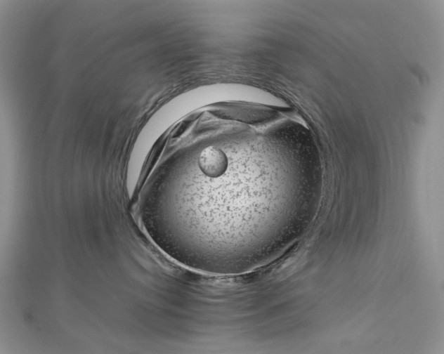 X0000112810384200909041459