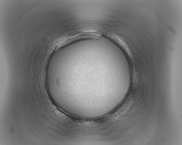 X0000112810385200909041458