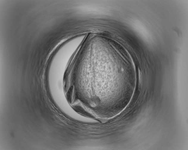 X0000112810387200909041458