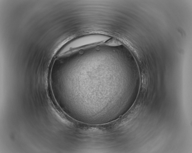 X0000112810390200909041458