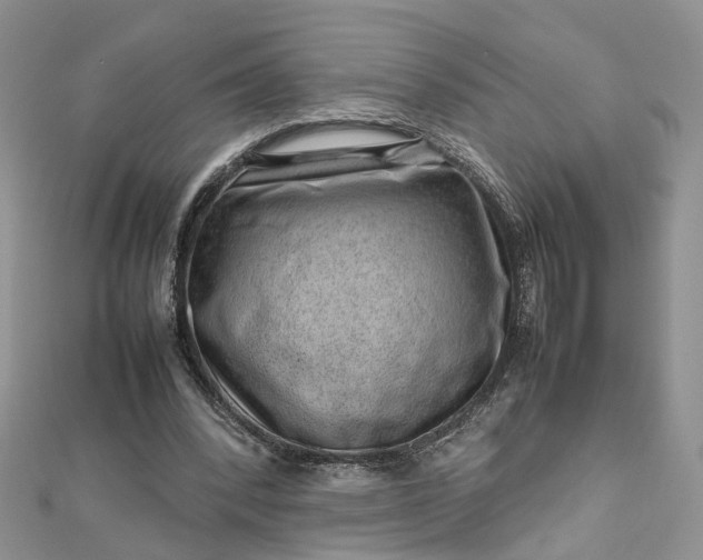 X0000112810392200909041458