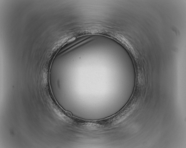 X0000112810393200909041458