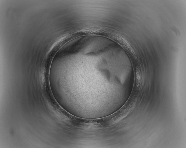 X0000112810396200909041458