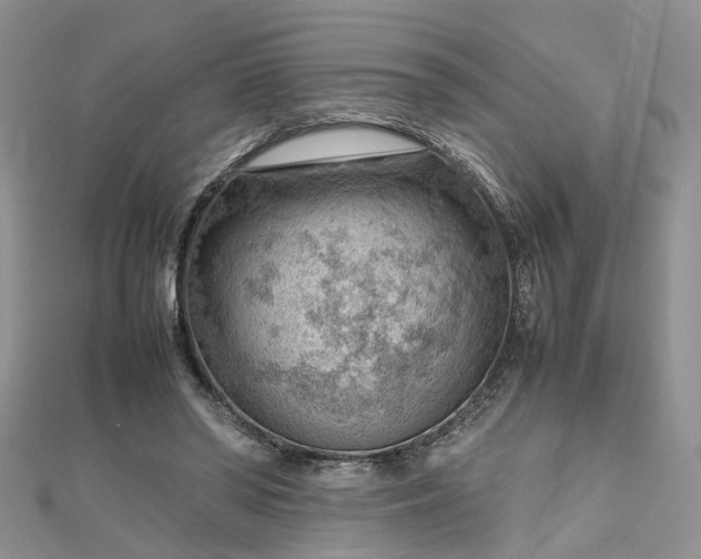 X0000112810398200909041458