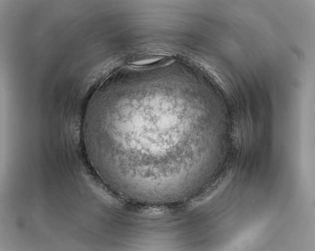 X0000112810402200909041458