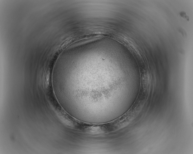 X0000112810406200909041458