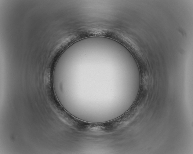 X0000112810407200909041458