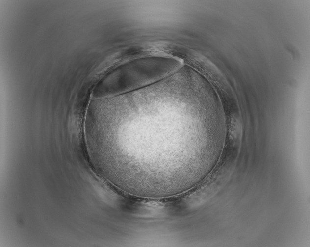 X0000112810409200909041458