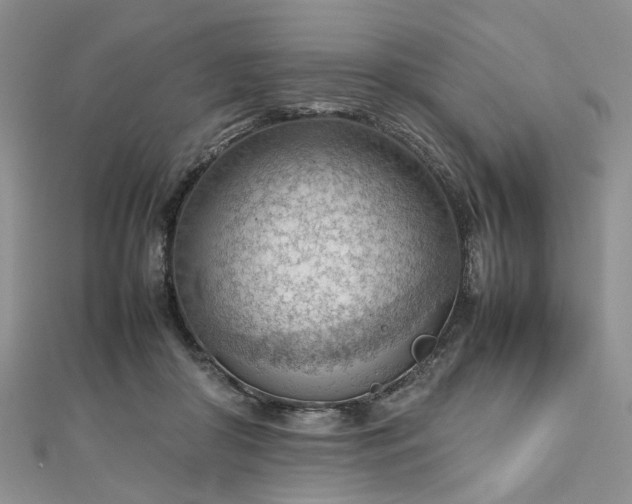 X0000112810410200909041458