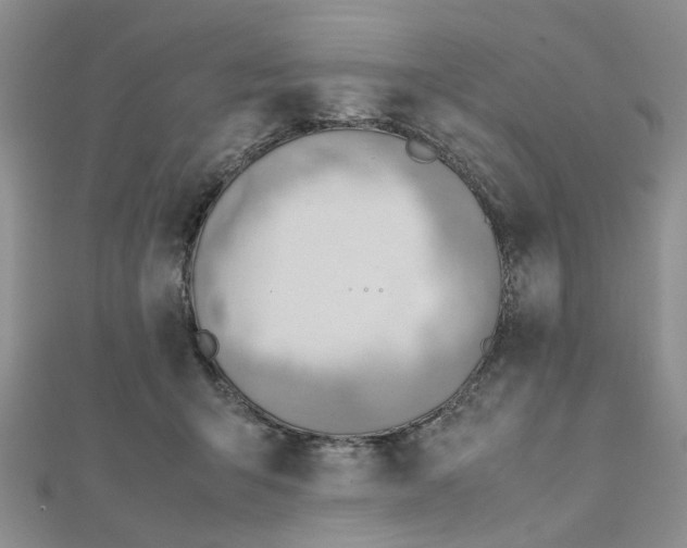 X0000112810415200909041458