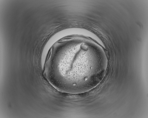 X0000112810417200909041458