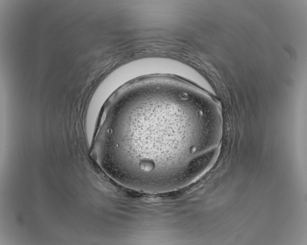 X0000112810419200909041458