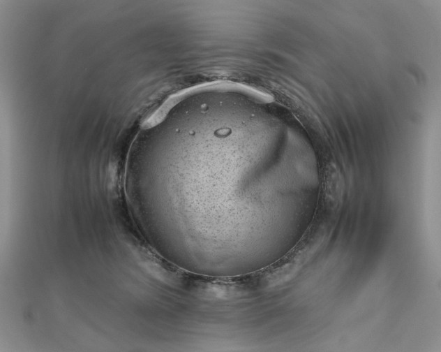 X0000112810420200909041458