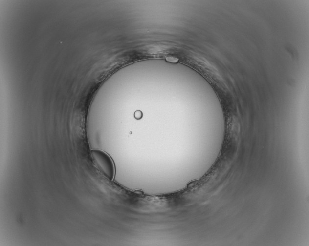 X0000112810421200909041458