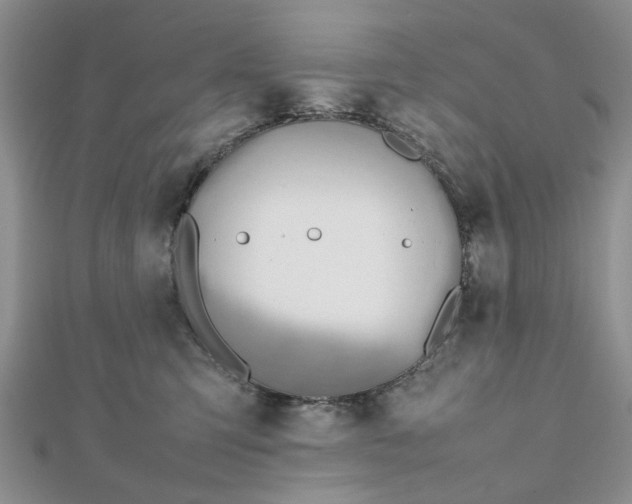 X0000112810423200909041458