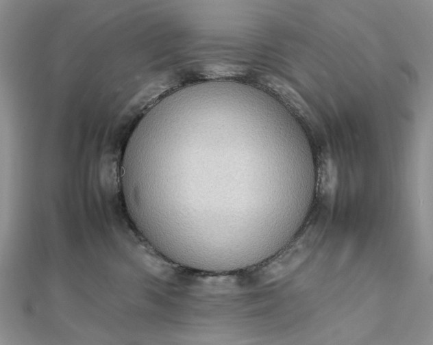 X0000112810426200909041458