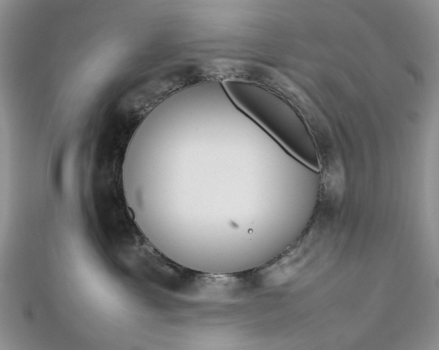 X0000112810429200909041458