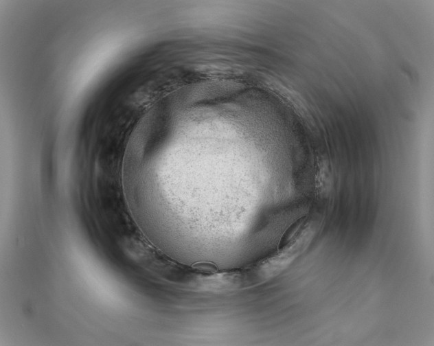 X0000112810430200909041458