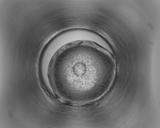 X0000112810436200909041457