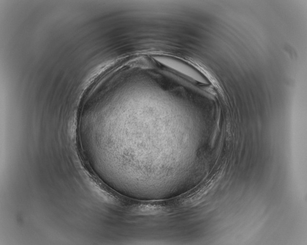 X0000112810437200909041457