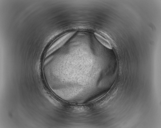 X0000112810439200909041457