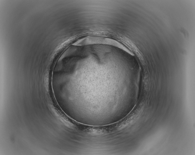 X0000112810442200909041457