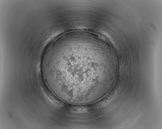 X0000112810443200909041457