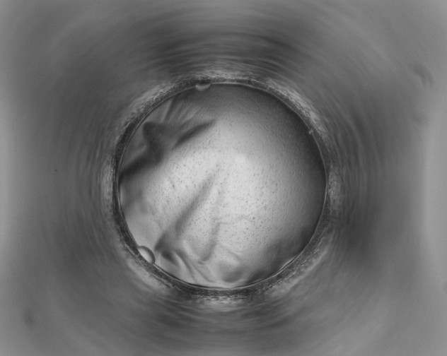 X0000112810445200909041457