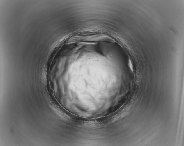 X0000112810446200909041457